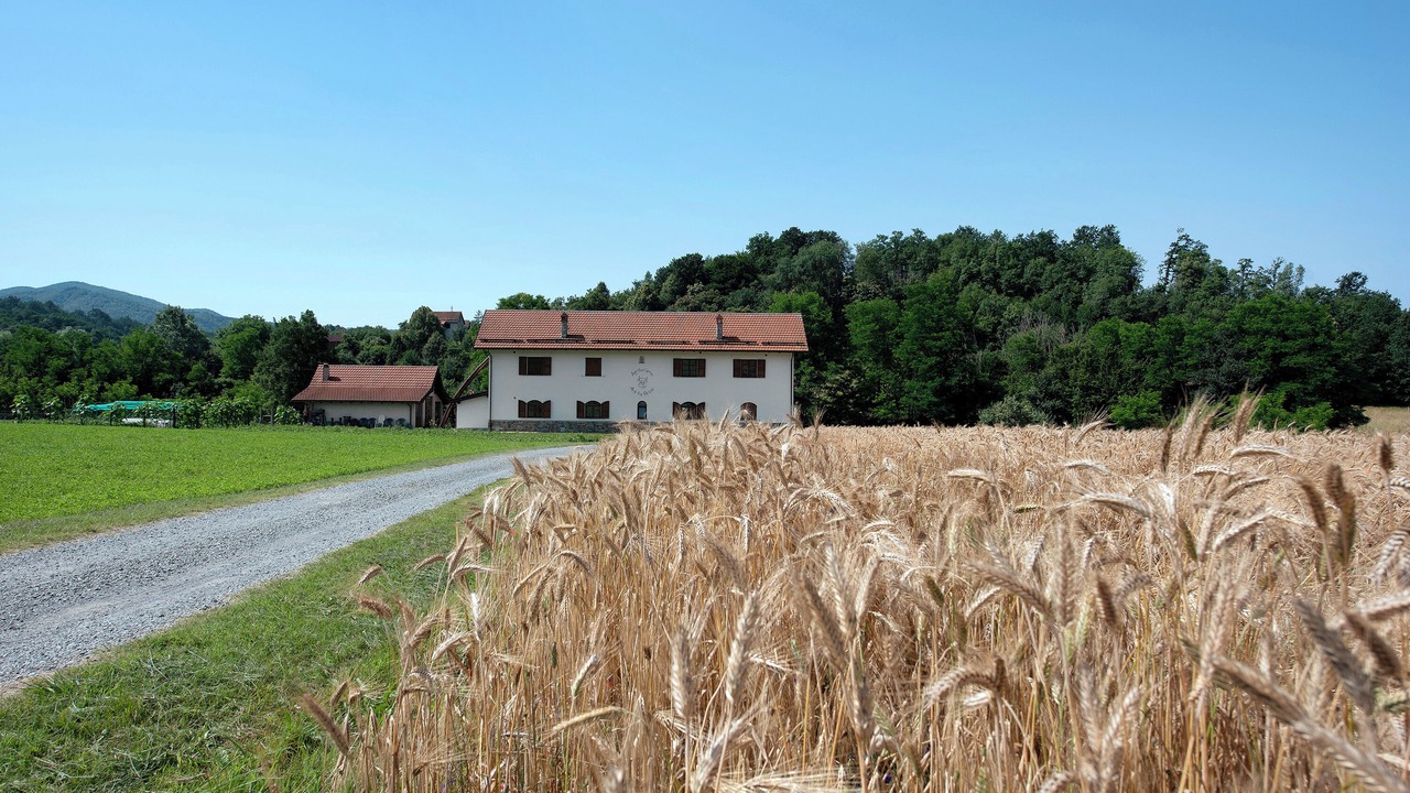 Photo of Outdoor in Sassello