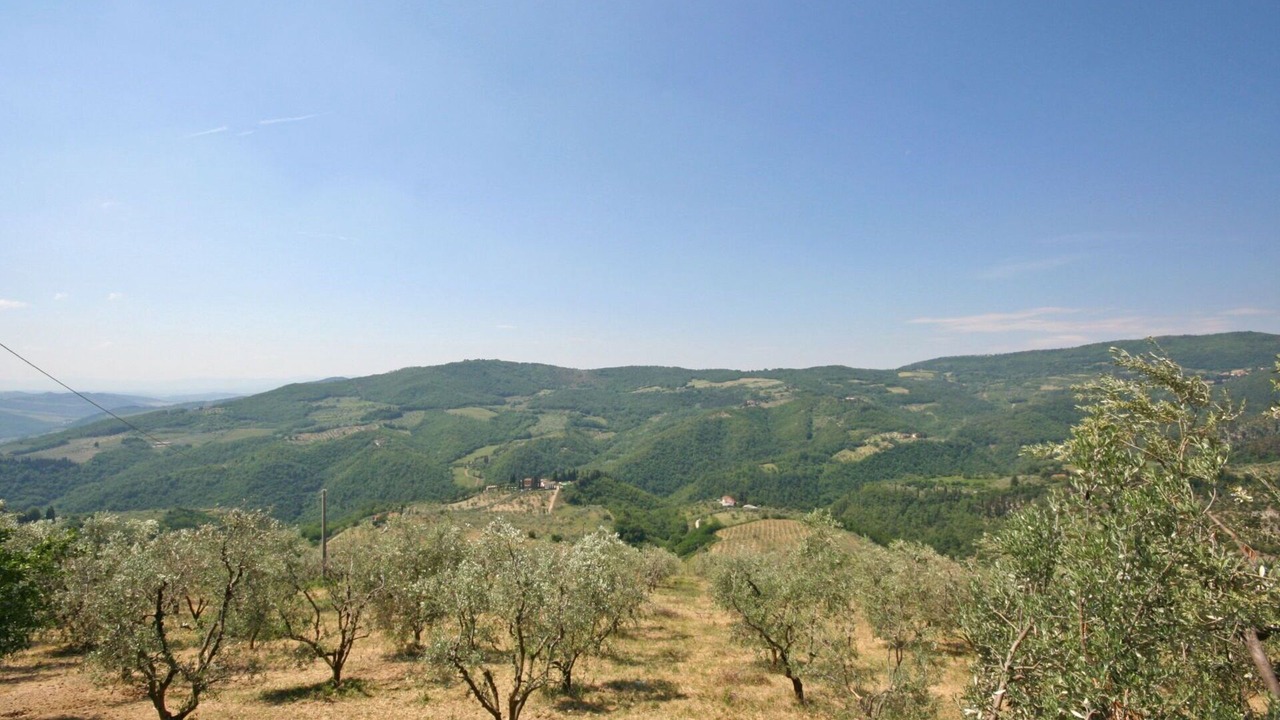 Photo of Outdoor in Montebonello