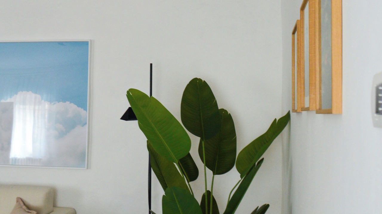 Photo of Livingroom in Cison di Valmarino