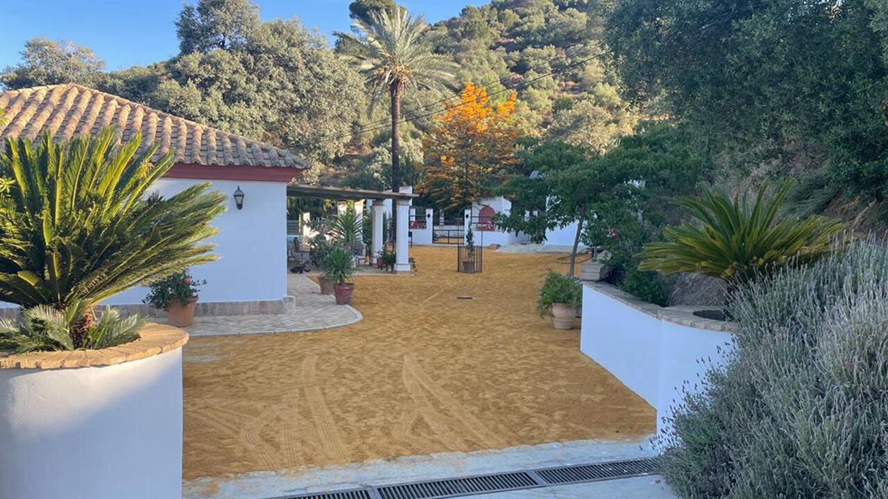 Photo of Outdoor in Lora Del Rio