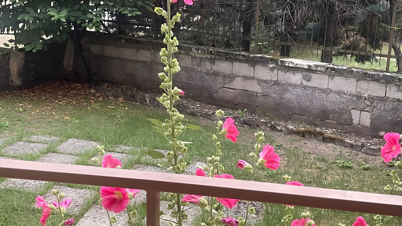 Photo of Outdoor in Rivisondoli