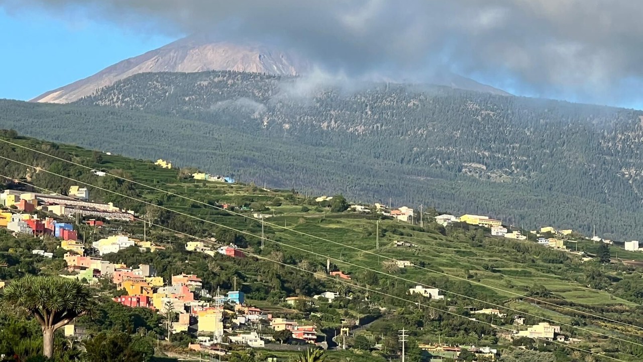 Photo of Others in Montijos