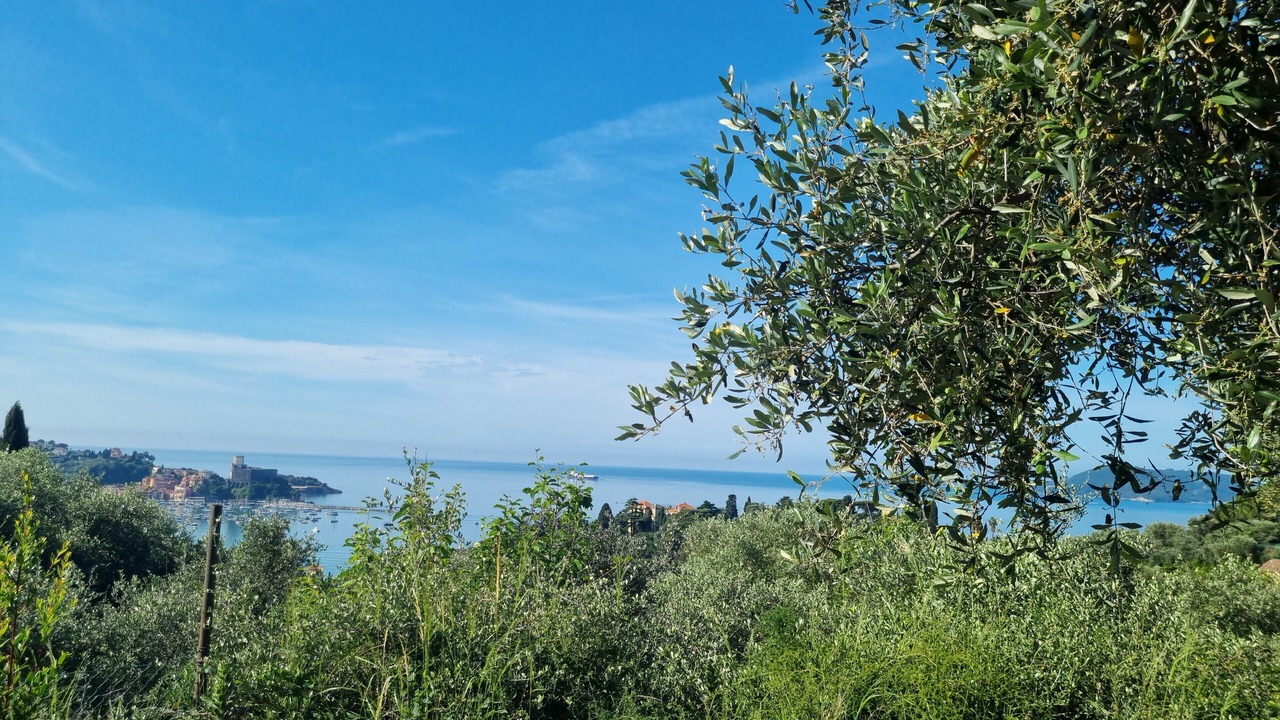 Photo of Others in Lerici