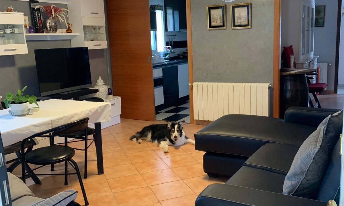 Photo of Livingroom in Olesa de Bonesvalls