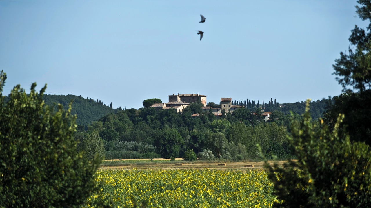 Photo of Others in Castiglione della Valle