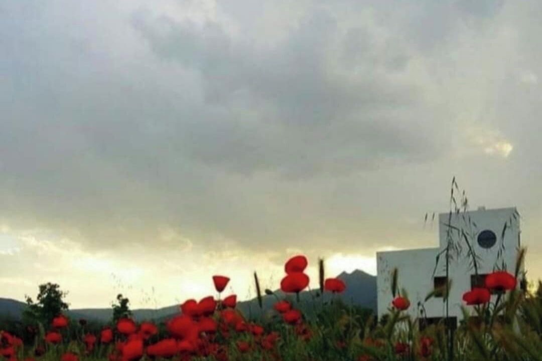 Photo of Others in Moratalla