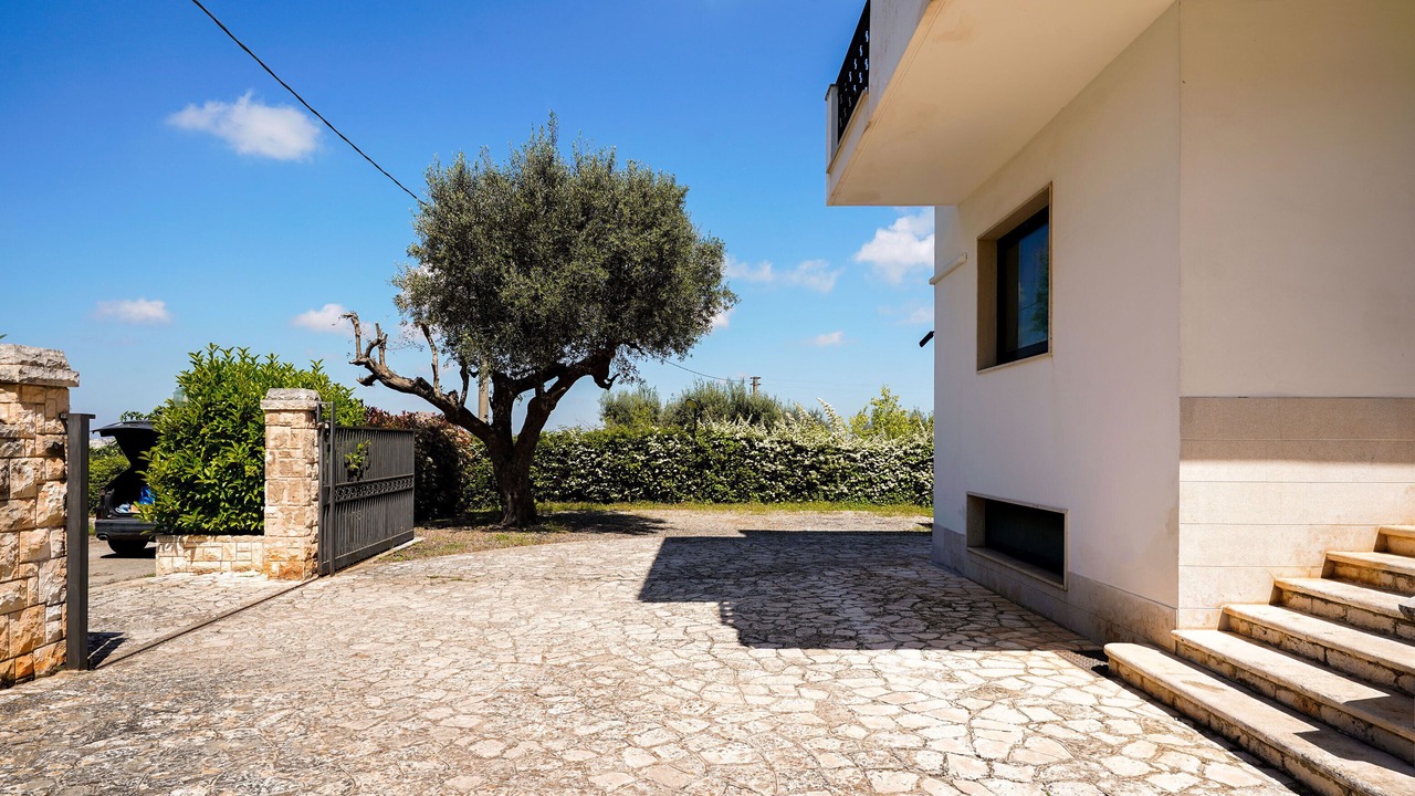 Photo of Outdoor in Alcanterini