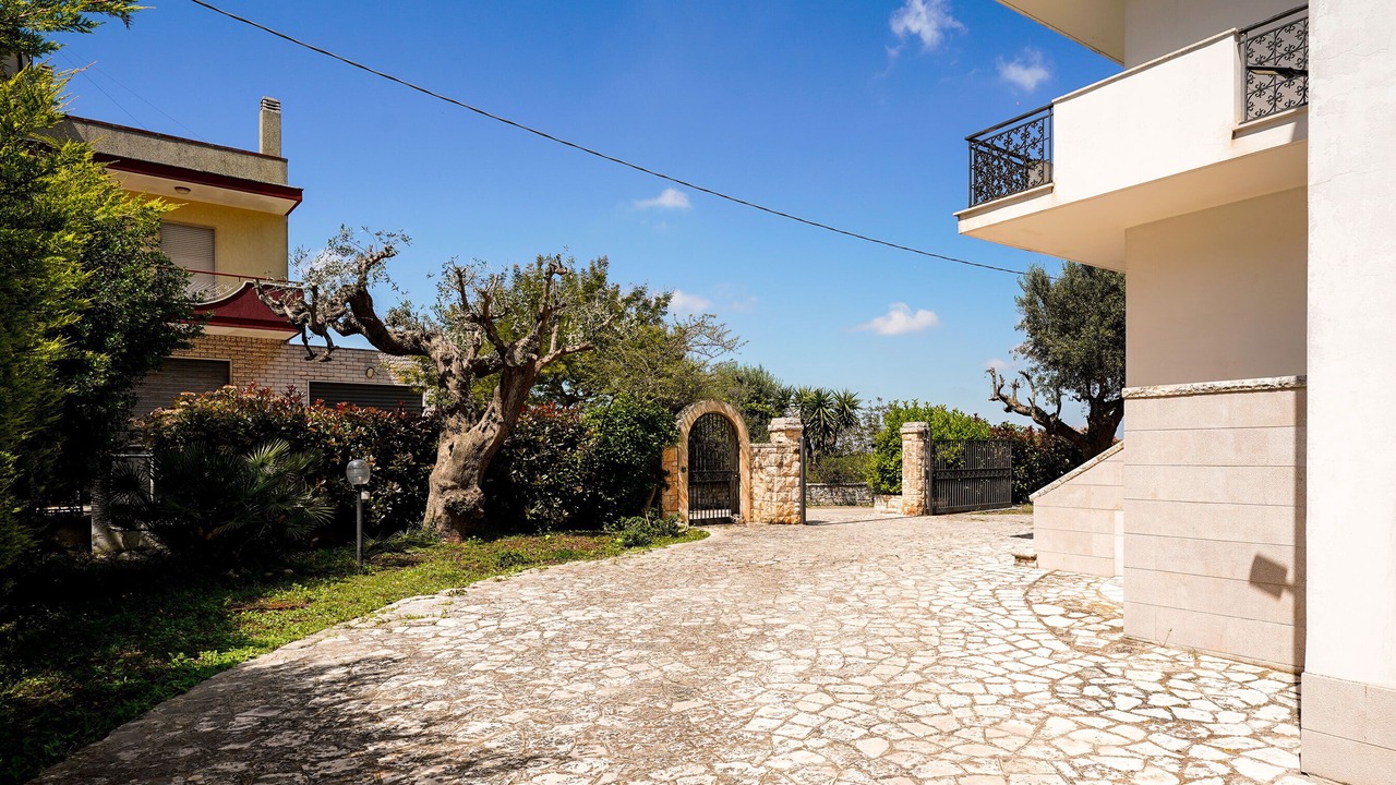 Photo of Outdoor in Alcanterini