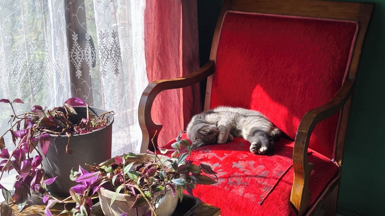 Photo of Others in Cinarcik