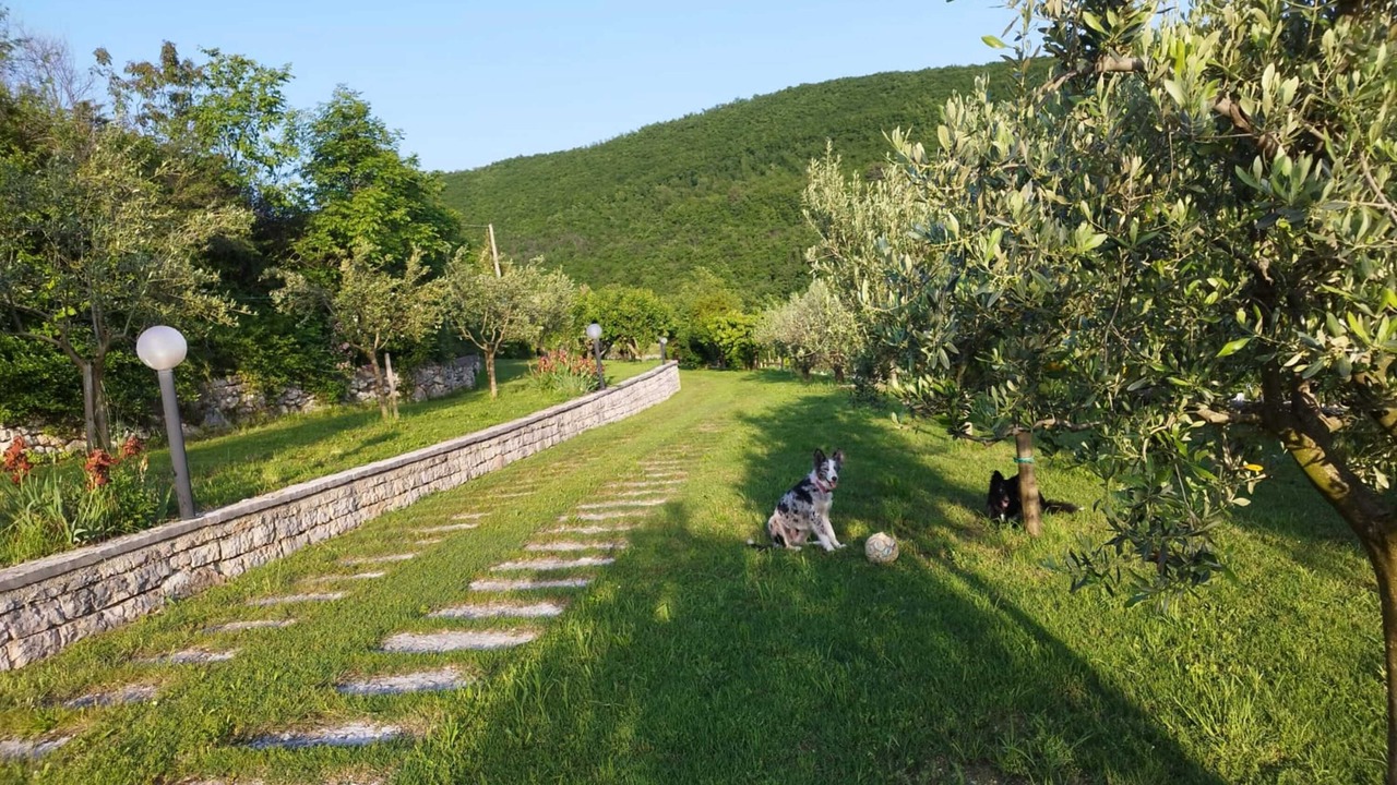 Photo of Outdoor in Sant'Ambrogio di Valpolicella