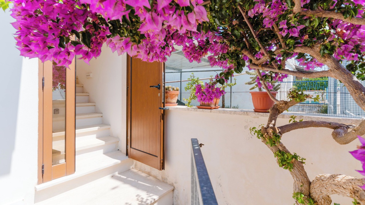 Photo of Outdoor in Santa Maria al Bagno