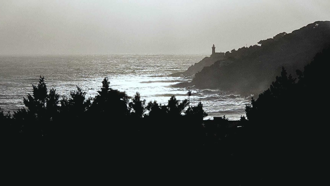 Photo of Others in Faro