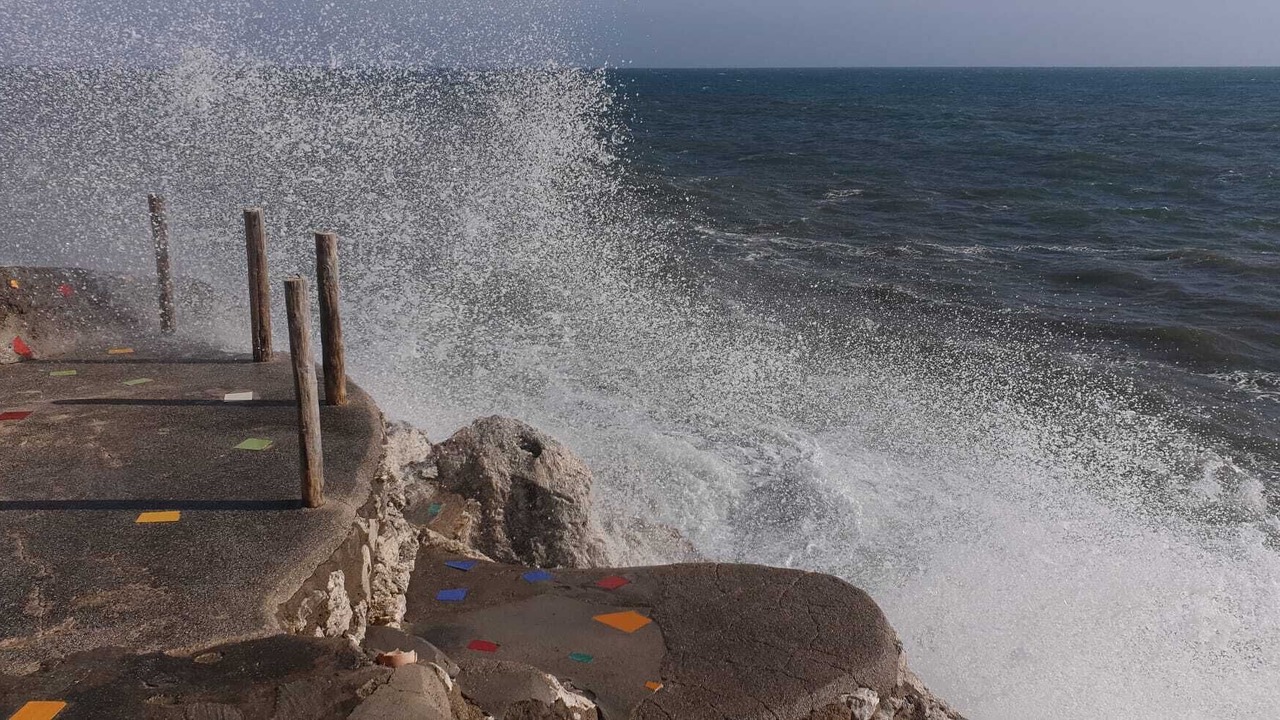 Photo of Others in Faro