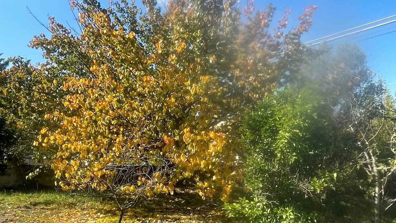 Photo of Outdoor in Vittoria