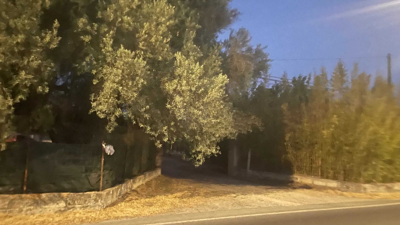 Photo of Others in Vittoria