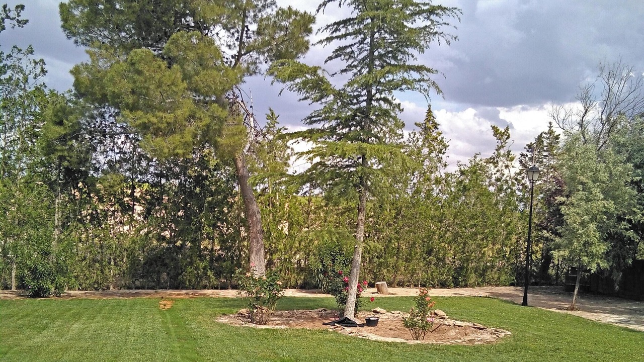 Photo of Outdoor in Villacanas