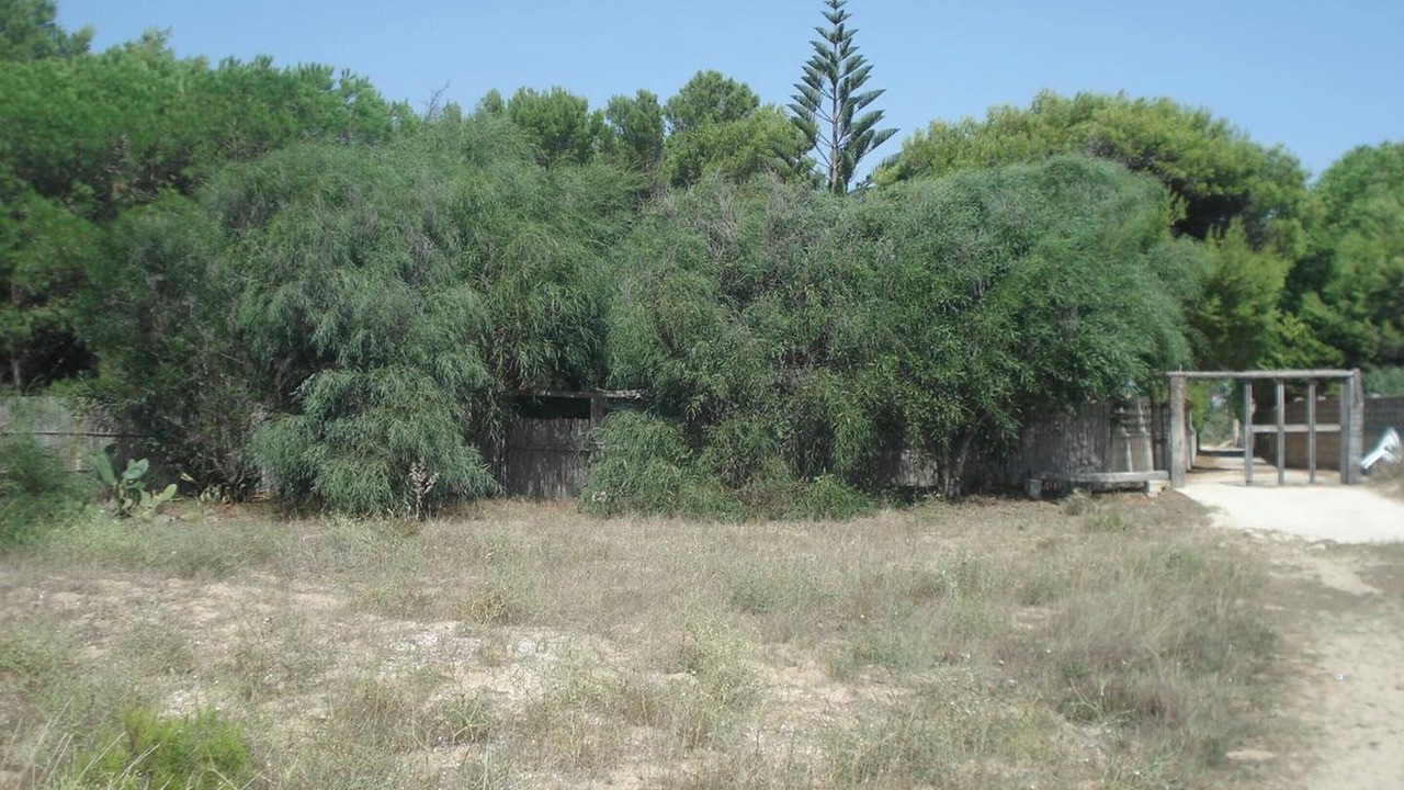 Photo of Outdoor in Granelli