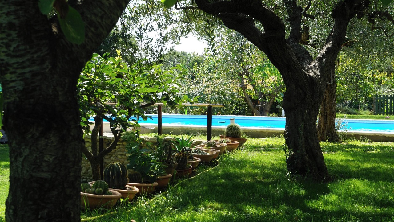 Photo of Outdoor in Treglio