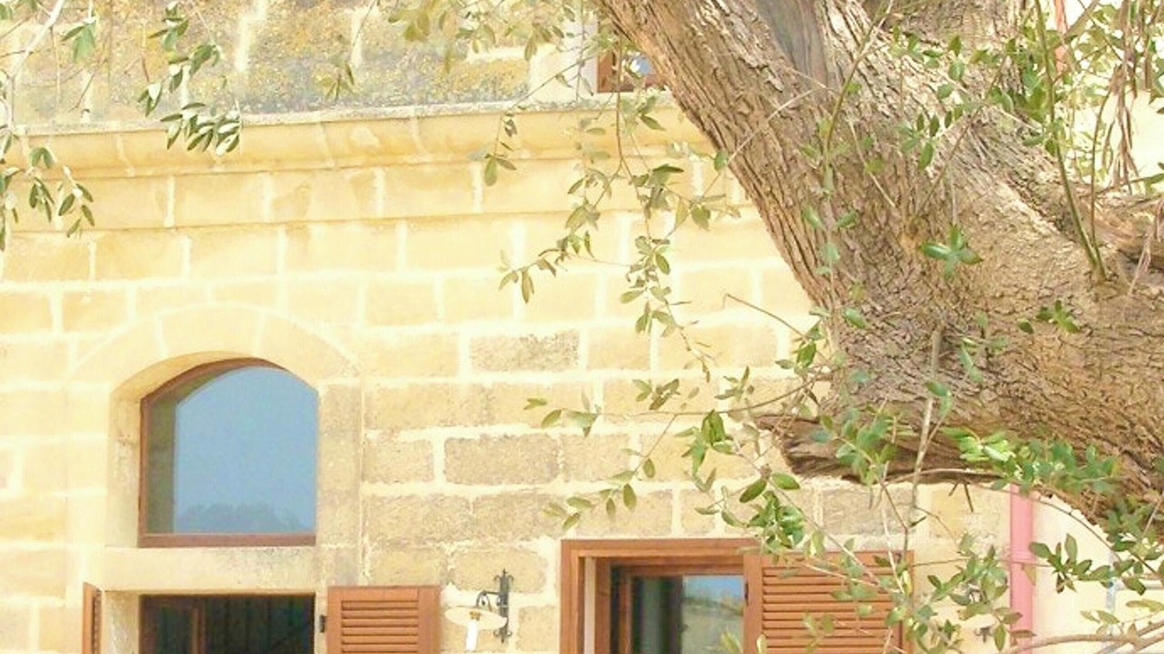 Photo of Others in Minervino di Lecce