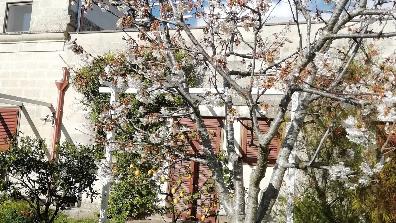 Photo of Outdoor in Minervino di Lecce