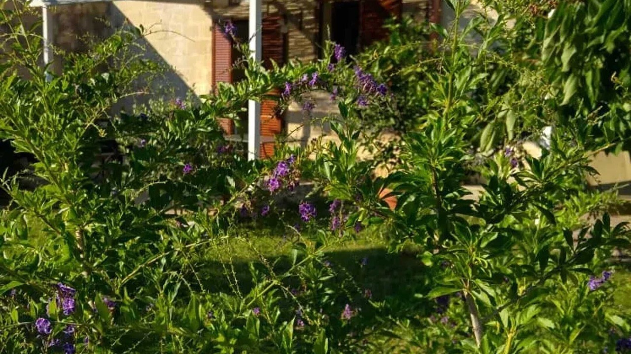 Photo of Outdoor in Minervino di Lecce