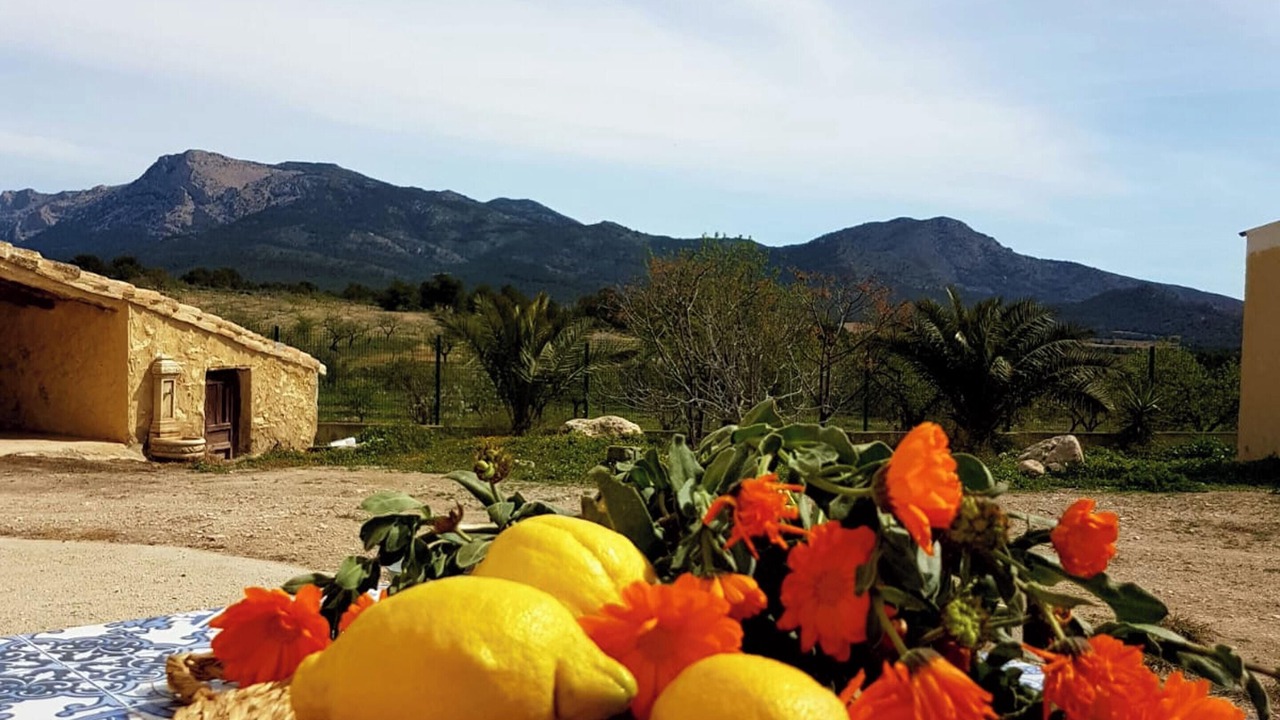 Photo of Others in Lorca