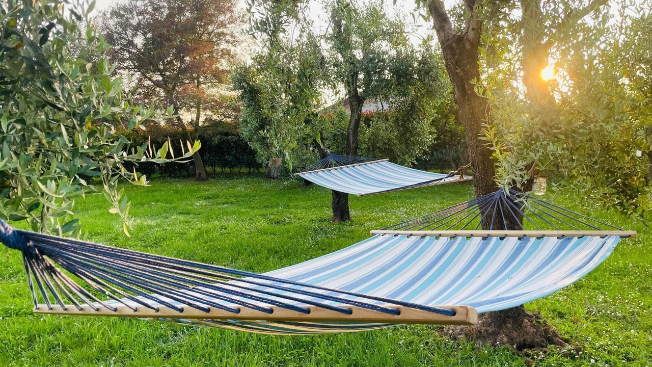 Photo of Outdoor in Capanne-Prato-Cinquale