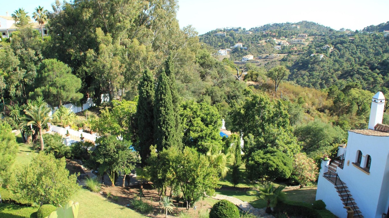 Photo of Outdoor in El Madronal