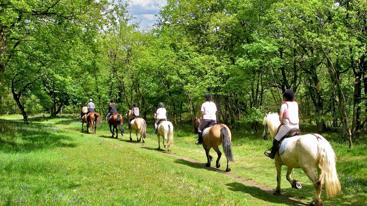 Photo of Others in Frascineto