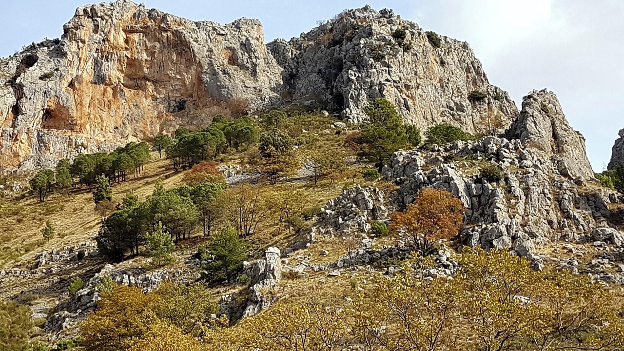 Photo of Others in Frascineto