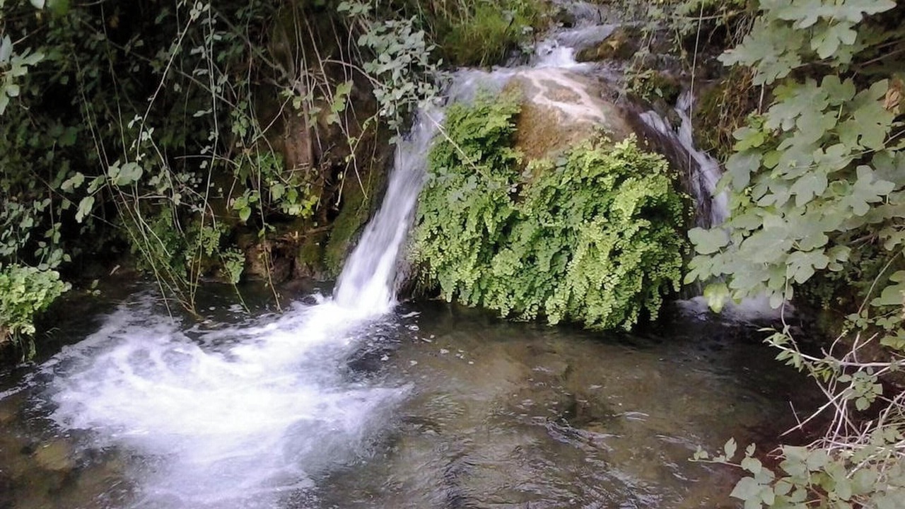 Photo of Others in Cazorla