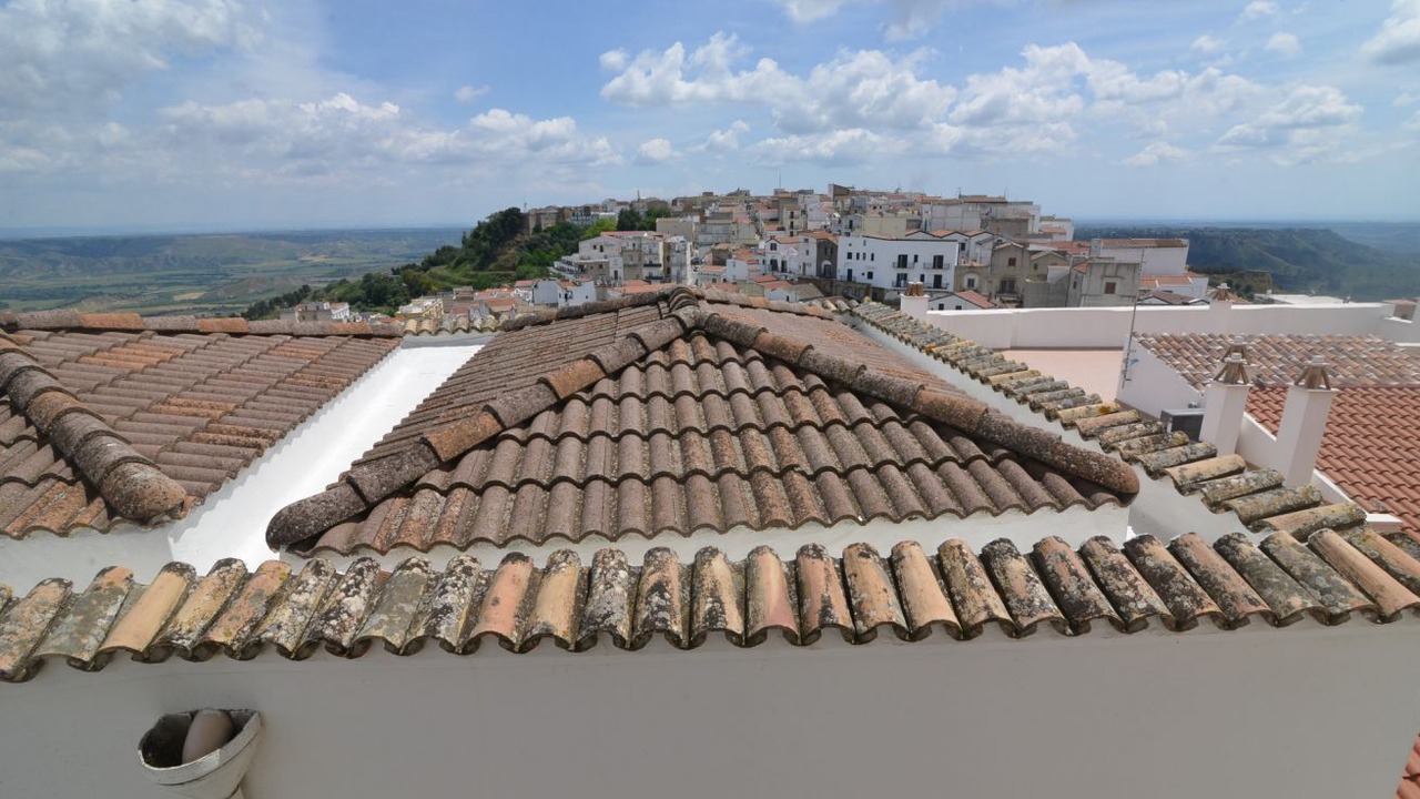 Photo of Others in Macchia