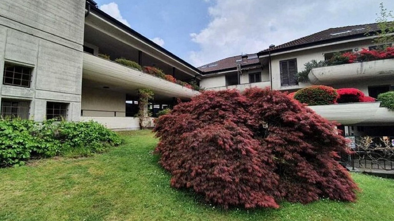 Photo of Outdoor in Feriolo