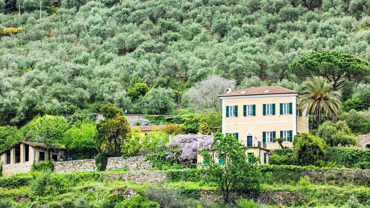 Photo of Others in Pontedassio