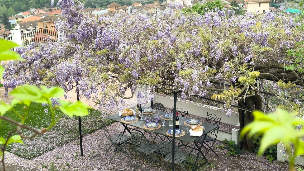 Photo of Others in Pontedassio