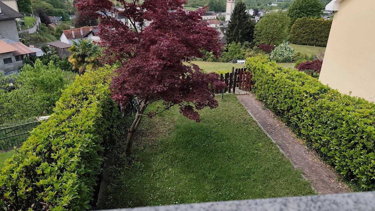 Photo of Outdoor in Trontano