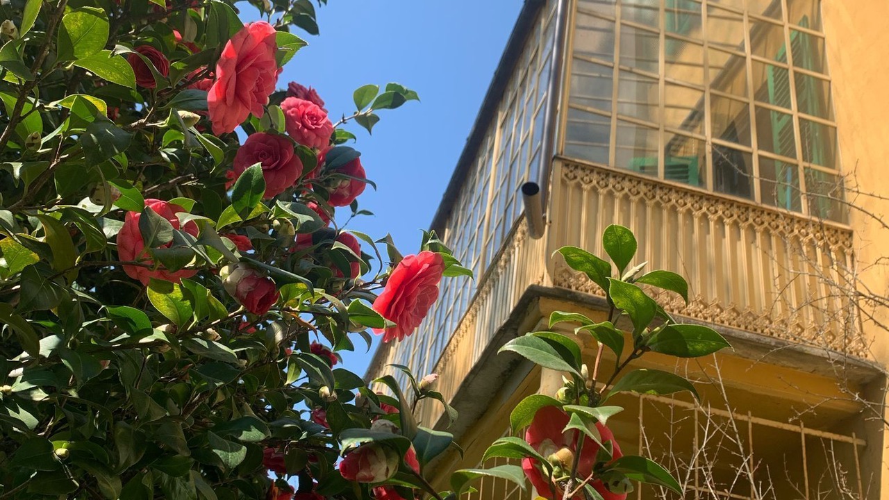 Photo of Outdoor in Torre Pellice