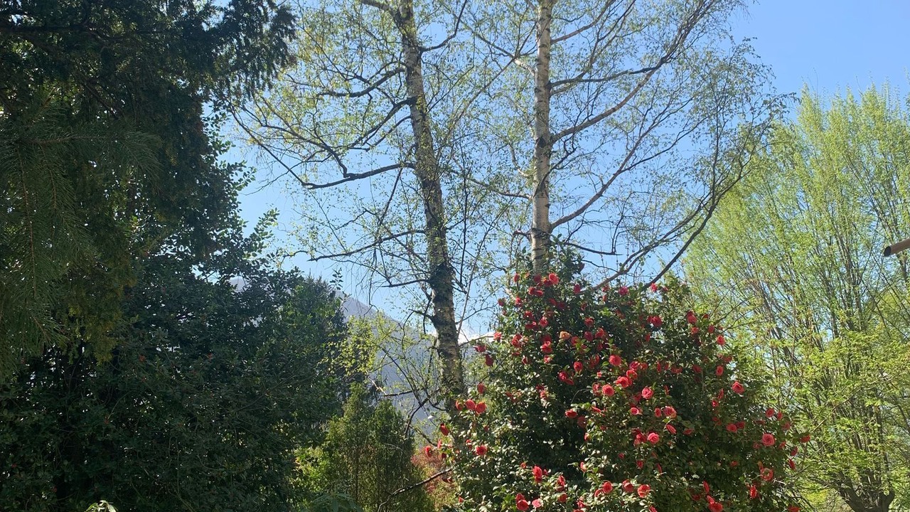 Photo of Others in Torre Pellice