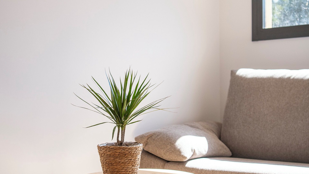 Photo of Livingroom in Beguda