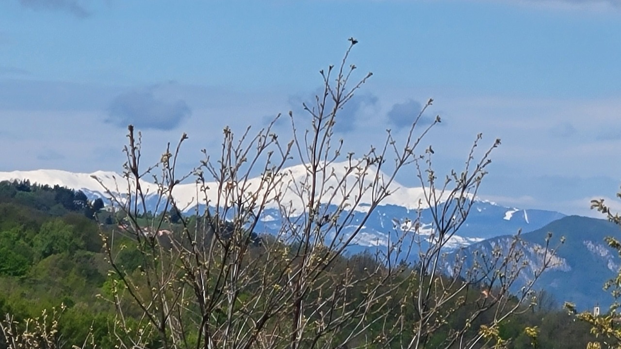 Photo of Others in Piamaggio