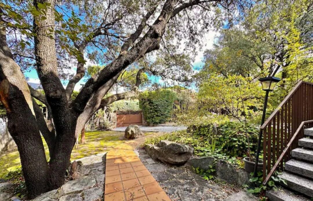 Photo of Outdoor in Galapagar