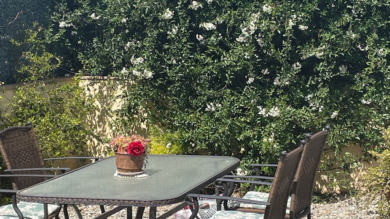Photo of Outdoor in Borrassa