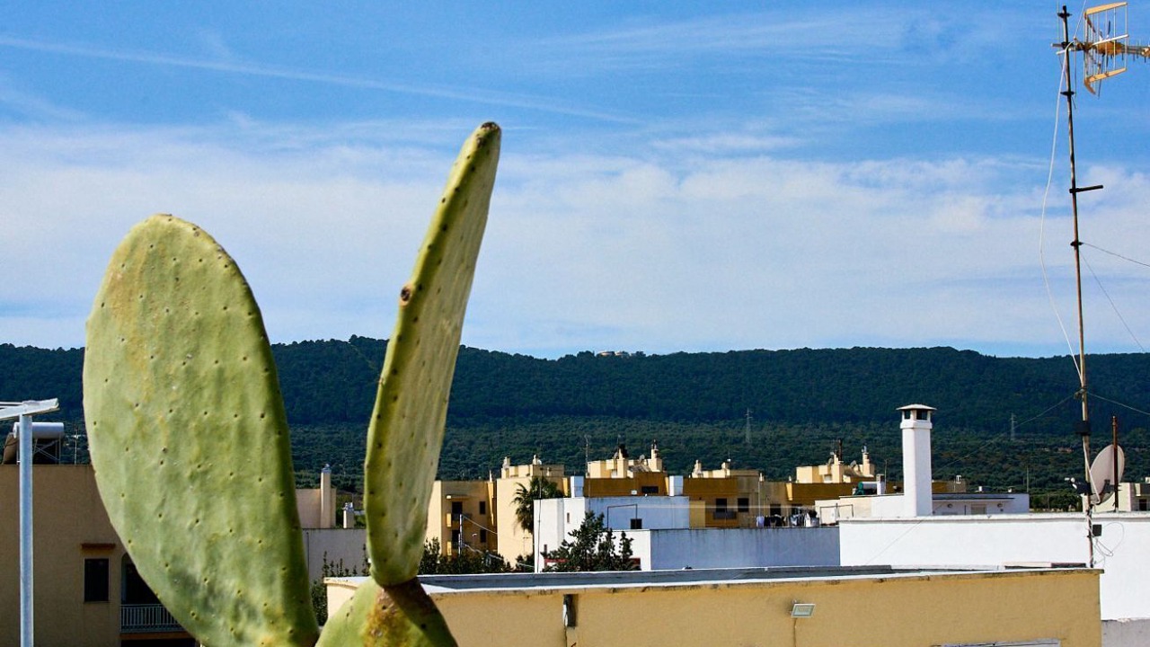 Photo of Outdoor in Montalbano