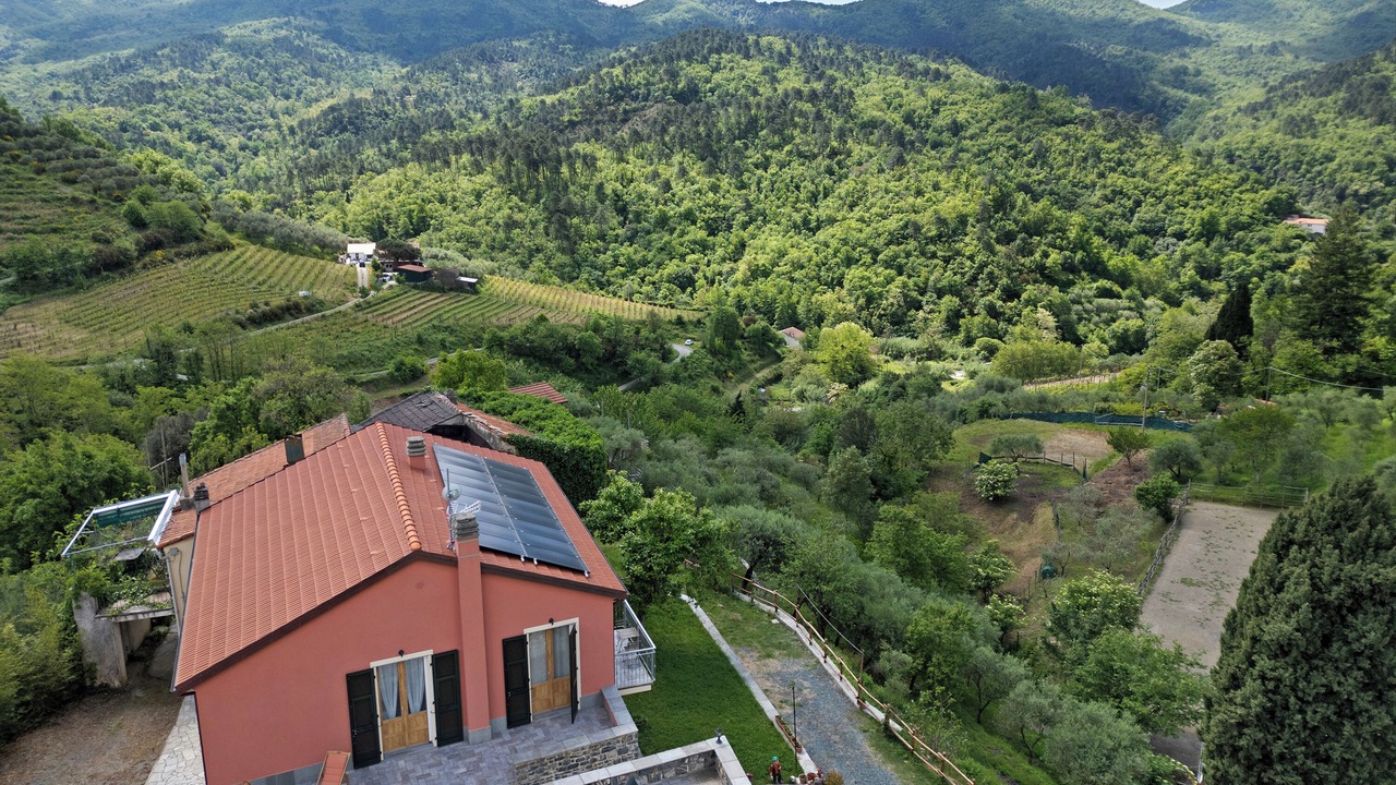 Photo of Outdoor in Velva