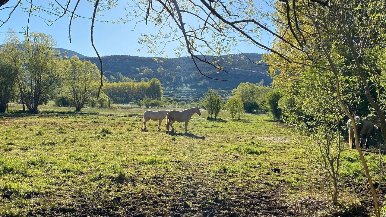 Photo of Others in Alcala de la Selva