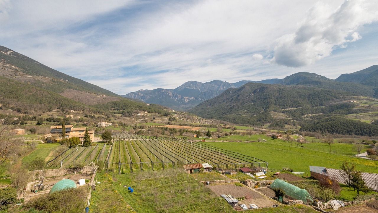 Photo of Others in Sant Llorenc de Morunys