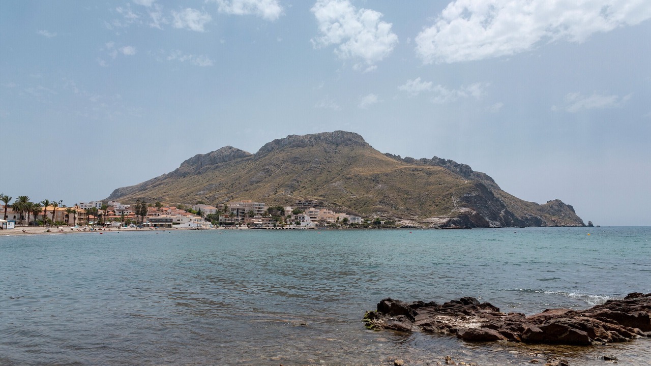 Photo of Others in Calabardina