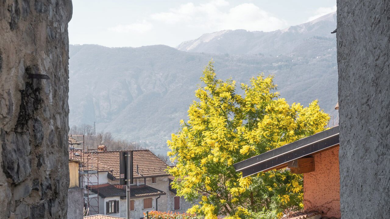 Photo of Outdoor in Lierna