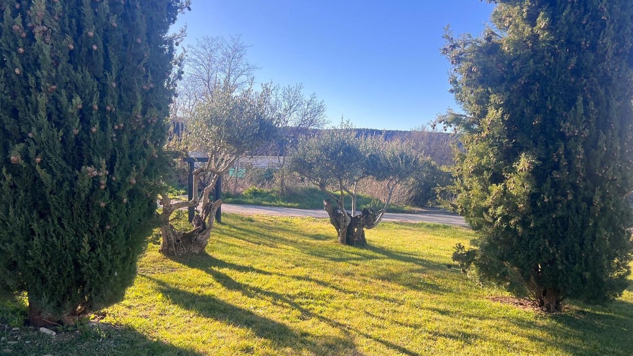 Photo of Outdoor in Yesa