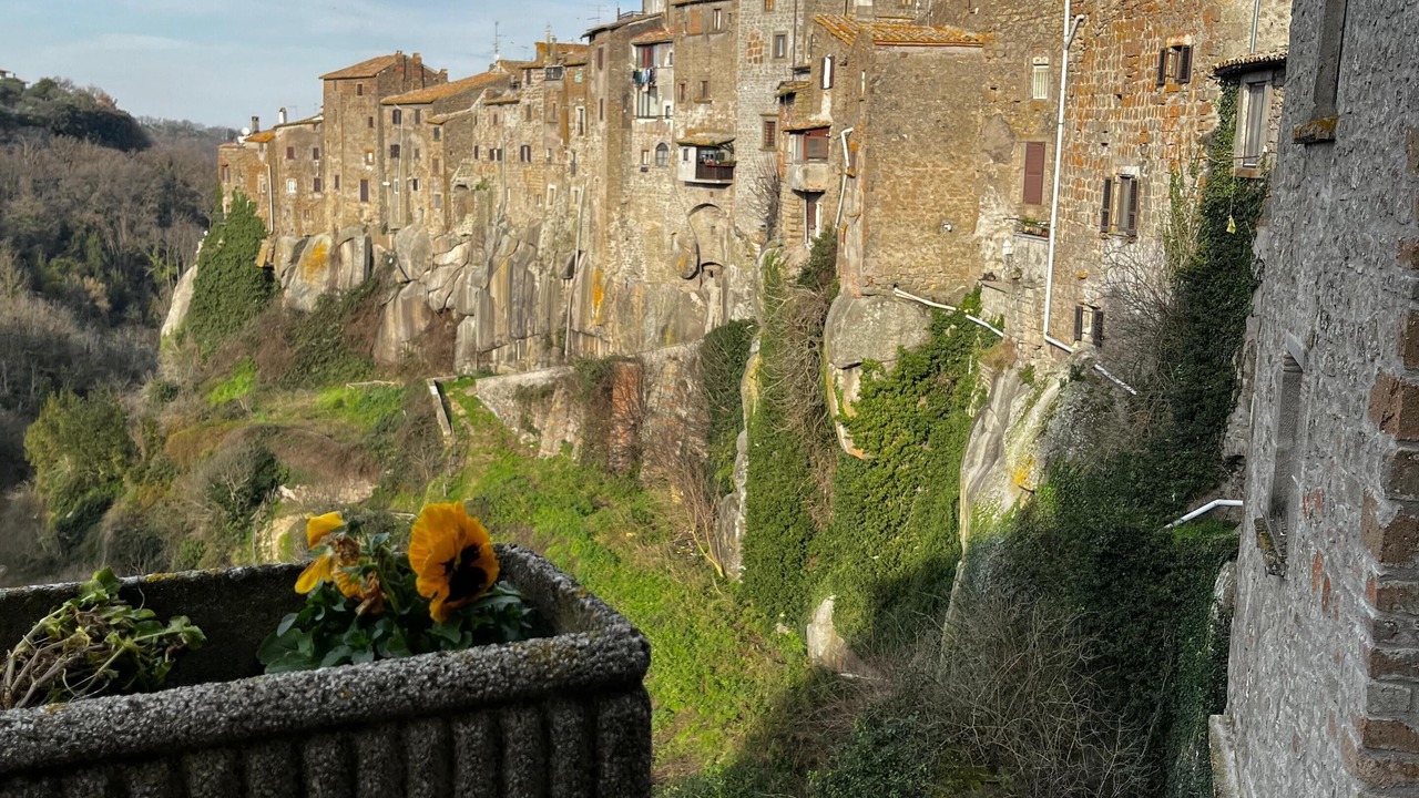 Photo of Others in Vitorchiano